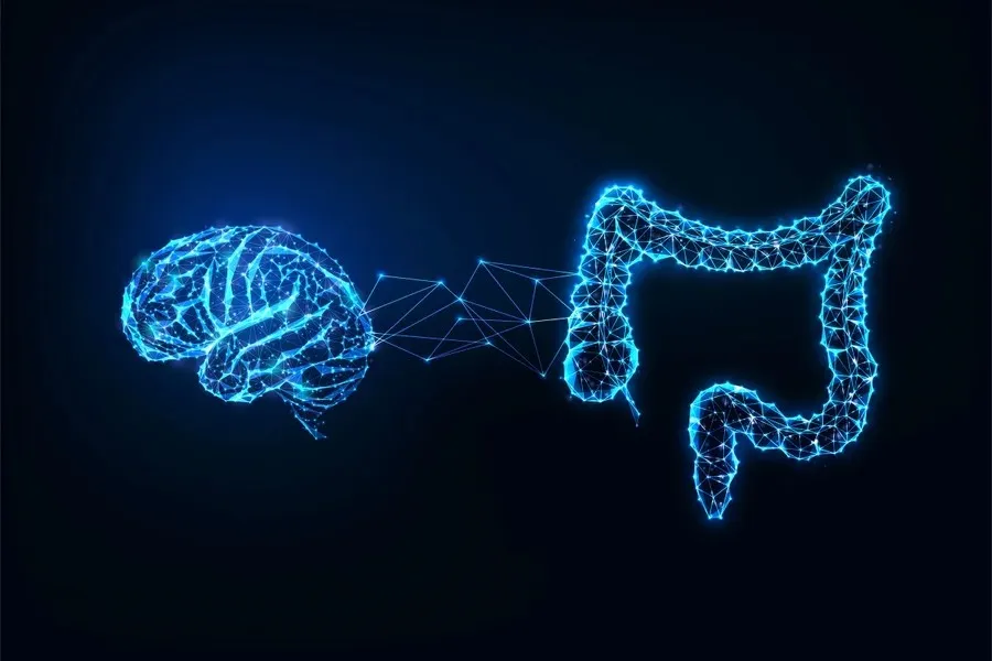 Fibras e cérebro: entenda como o intestino influencia humor e memória